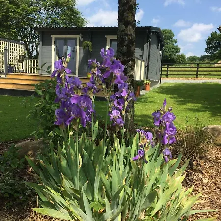 Lejlighed Prospect Cabin New Ross