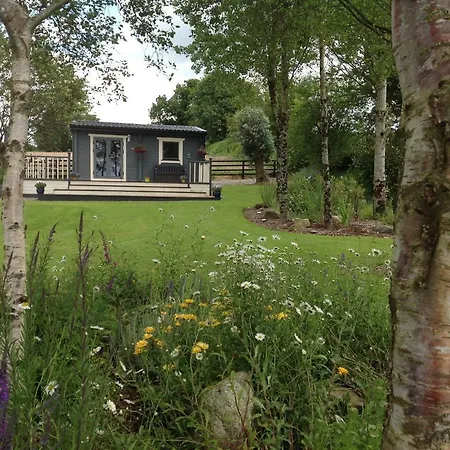 Prospect Cabin New Ross